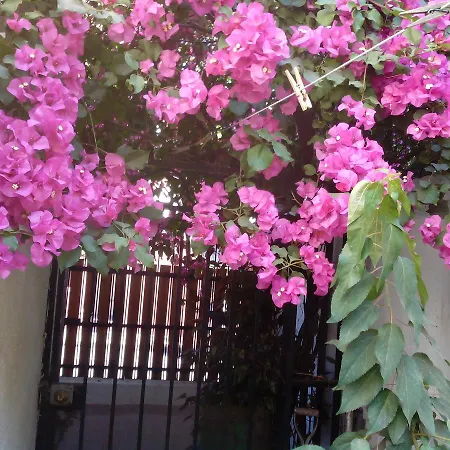 Alojamiento Alberto Magno Bed & Breakfast